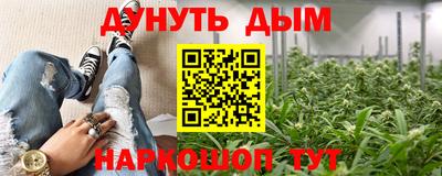 сатива Обь