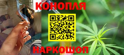 сатива Обь