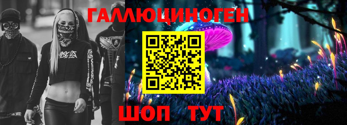 даркнет сайт  Вход с VPN  Россошь  Псилоцибиновые грибы Psilocybe 
