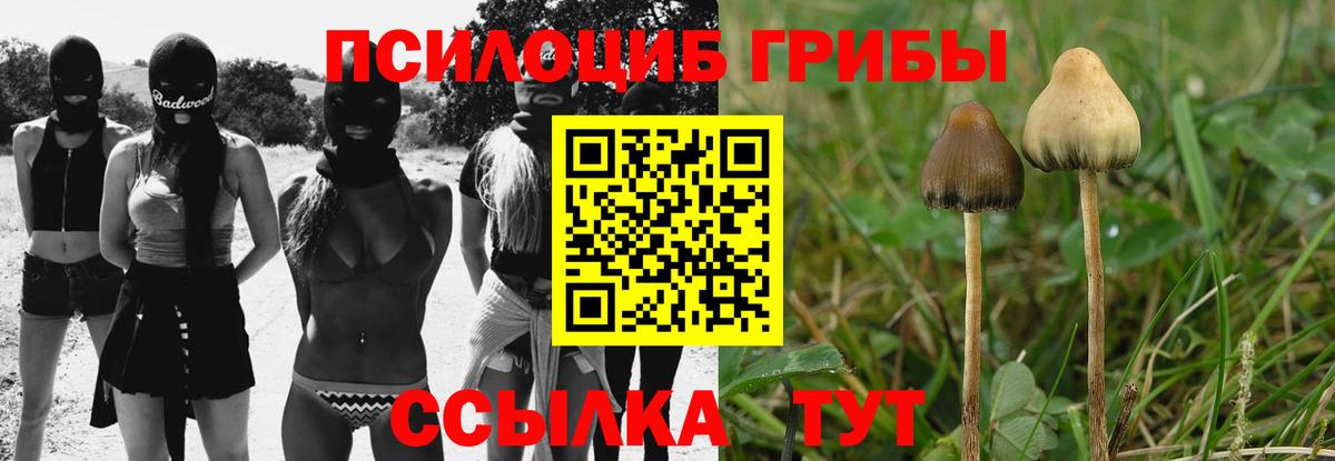 Галлюциногенные грибы прущие грибы Россошь